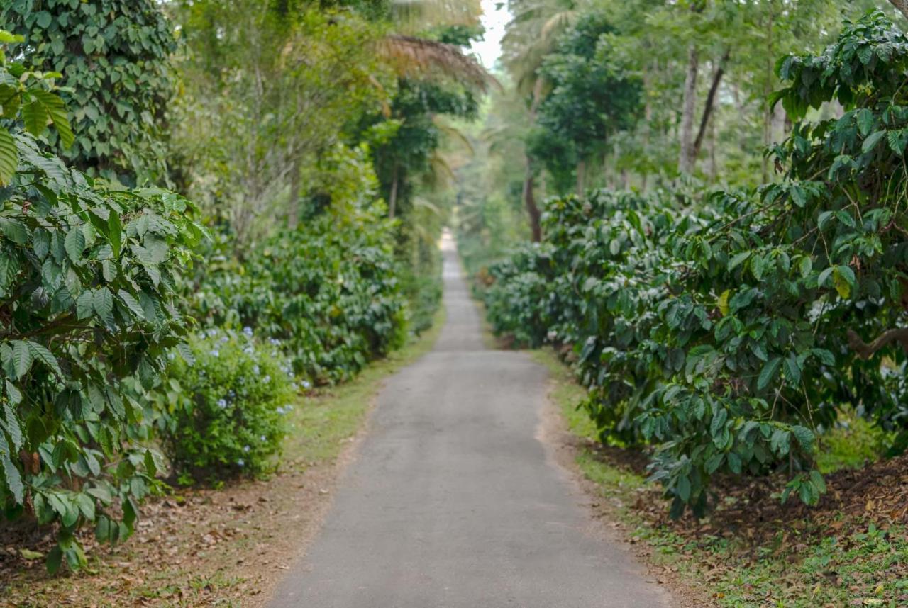 Belvilla The School Estate- Luxury Heritage Home In 200 Acres Madikeri Exterior foto